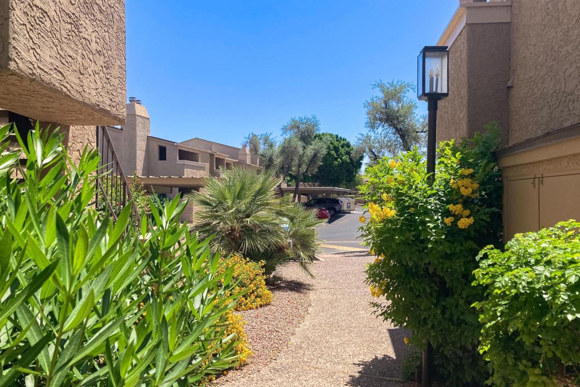 Sonoran Starlight Scottsdale